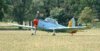 1377#OGMA CHIPMUNK#210804#WOB.JPG