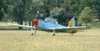 1377#OGMA CHIPMUNK#210804#WOB.JPG