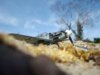 Bf109 Saw tooth cammo 009.jpg
