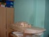 Copy of Picture 009.jpg