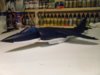 sea harrier 007.jpg