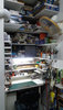 room5.jpg