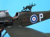 563047.jpg