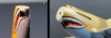 Steven_P-40_031.jpg