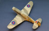 Steven_P-40_036.jpg