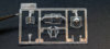 StevenSpit48_020.jpg
