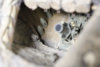 Diorama 4_176.jpg