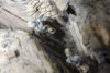 Diorama 4_236.jpg