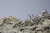 Diorama 4_212.jpg