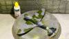 StevenSpit48_041.jpg