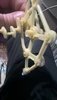 WP_20190112_19_49_29_Pro.jpg