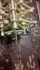 WP_20190112_21_38_17_Pro.jpg