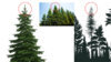 Trees.jpg