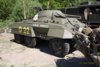 M8 Greyhound-001_26-05-2012.JPG