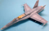 F54.jpg