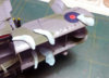 CAT0068.jpg