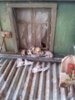 20141030_102155.jpg