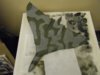 Cammo on 002.jpg