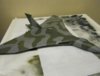 Cammo on 005.jpg