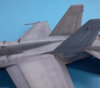 F61.jpg