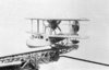CAT005.jpg