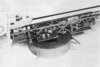 CAT006.jpg