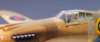 Steven_P-40_043.jpg