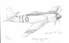 SEA FURY DWG.JPG SEA FURY DWG.JPG