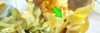 Steven_Spit_018b.jpg