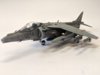 Harrier 2.jpg