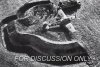 Steven_Bf109_MUD_48_037b.jpg