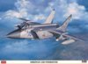 hasegawa mig-31b.jpg hasegawa mig-31b.jpg