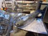 Fuselage 1.JPG