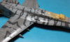 F73.jpg