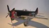 P47 2crop..jpg