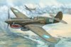 trumpy warhawk p-40e 1-32.jpg