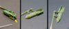 Steven_Bf109E_48_036.jpg