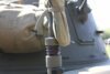 M8 Greyhound-042_26-05-2012.JPG