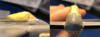 Untitled.png
