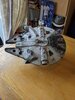 PXL_20201012_125926767.jpg