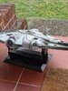 PXL_20201012_125742546.jpg