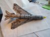 Lightning 5 003.JPG