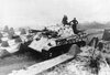 Panther2.jpg