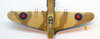 Steven_P-40_046.jpg