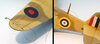 Steven_P-40_050.jpg