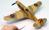 Steven_P-40_051.jpg