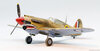 Steven_P-40_062.jpg