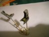 Tornado Ejection seats 008.jpg