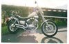 My Virago 2001.jpg
