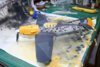 BF109F11.jpg